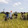 Ganjar Dorong Penyaluran Pupuk Subsidi Tepat Sasaran ke Petani Membutuhkan