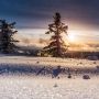 10 Fakta Solstis Desember, Wajib Tahu Jangan Sampai Kena Hoaks