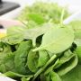 Harga Bayam di Batam Naik, per Kilo Rp30 Ribu