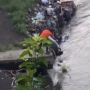 Pria Tepergok Buang Sampah Sembarangan di Sungai Kampung Warna-warni Malang
