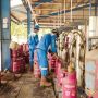 Sambut Natal dan Tahun Baru 2023, Pertamina Pastikan Stok BBM dan LPG Aman di Kalimantan Barat