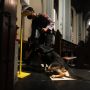 Anjing Pelacak Berkeliling Sebelum Misa Kenaikan Yesus Kristus di Gereja Katedral Jakarta