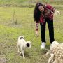 Ngangon Kambing Sampai Peluk Wong Cilik, Simak 10 Pesona Nafa Urbach Terjun ke Dunia Politik