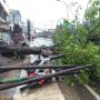 Cuaca Ekstrem, Pohon Tumbang Tutup Jalan Ahmad Yani Hingga Sebabkan Macet Panjang