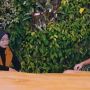 Denny Sumargo Ikut Dilaporkan Rozy Zay, Imbas Viralkan Cerita Norma Risma Soal Perselingkuhan Suami dengan Mertua