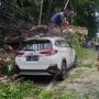 Angin Kencang Landa Denpasar Sebabkan Pohon Bertumbangan, Mobil Parkir Tertimpa