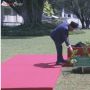 Terima PM Malaysia di Istana Bogor, Jokowi Ajak Anwar Ibrahim Tanam Pohon Merawan Bersama