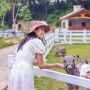 Berkunjung ke Dairyland, Tempat Wisata Puncak yang Dulu Dikenal dengan Nama Cimory