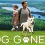 Film Dog Gone, Kisah Nyata Pencarian Seekor Anjing, Segera Tayang di Netflix