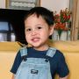 Arrasya Anak Tasya Kamila Ketemu Adik Shafanina Pertama Kali, Sikapnya Tuai Pujian Warganet: Aduh Dewasa Banget