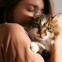 3 Manfaat Memelihara Kucing untuk Kesehatan, Salah Satunya Meningkatkan Dukungan Emosional