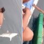 Tercebur di Laut saat Mancing Ikan Hiu, Aksi Nekat 2 Pemuda Ini Malah Bikin Ngakak!