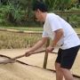 5 Potret Kesederhanaan Ayah Lesti Kejora Jemur Padi di Sawah, Bikin Ayem