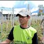 Viral Petani di Lampung Barat Lempar Ratusan Kilogram Tomat ke Jurang, Kesal Harga Tomat Anjlok