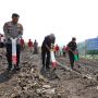 Perkuat Ketahanan Pangan, Ganjar Optimalkan Lahan Tidur Supaya Lebih Produktif