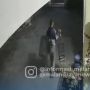 Malang Darurat Maling Burung, Pelaku Beraksi Bawa Sajam