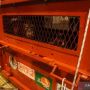 Nasib Malang Astuti, Nyaris Dijual Ke Filipina Bareng Owa-owa Hingga Lutung