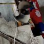 Monyet Peliharaan Warga Gropet Lepas Damkar Turun Tangan, Pancing Monyet Pakai Buah Rambutan
