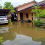 Musim Banjir Rob, Banyak Ular dan Biawak Berkeliaran di Sekitar Rumah Warga Bintan dan Tanjungpinang