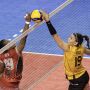 Dimulai Hari Ini, Berikut Jadwal Lengkap Proliga 2023 Putaran Kedua