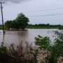 Tiga Desa di Sumbawa Terendam Banjir, Puluhan Hewan Ternak Hanyut dan 250 Hektare Sawah Terendam