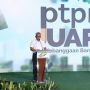 IPO PalmCo Masih Belum Pasti, Tunggu Kebijakan Prabowo-Gibran