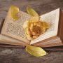 5 Tips Merawat Buku agar Tetap Awet dan Tidak Cepat Menguning
