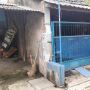 Anggota Densus 88 Bripda HS Bunuh Sony Rizal Taihitu, Tetangga: Bukannya Buru Teroris Malah Sikat Ojol