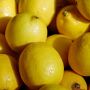Pengganti Minum Kopi, Minum Air Buah Lemon Ternyata Banyak Khasiatnya