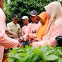 Gandeng Kelompok Tani, Mak Ganjar Jatim Beri Edukasi soal Pertanian Organik kepada Petani di Nganjuk