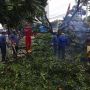 Arti Mimpi Pohon Tumbang Menimpa Rumah: Pesan Agar Sesekali Egois