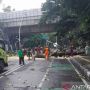 Hujan Angin di Jakarta, Empat Warga Luka Ringan Tertimpa Pohon Tumbang