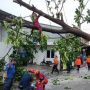 Angin Kencang Terjang Bekasi, Pohon 12 Meter Tumbang, Begini Kesaksian Warga Sekitar