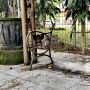 Astaga! Sejumlah Kursi Taman di Sekitar Stadion Manahan Solo Hilang, Gibran: Nanti Pasti Ketahuan