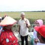 Ganjar Ajak Petani Milenial Genjot Produktivitas Padi, untuk Menjaga Stabilitas Harga Beras di Jateng