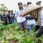 Rangkul Para Petani Muda, OMG Jabar Gelar Pelatihan Pertanian Organik