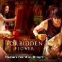 Link Nonton The Forbidden Flower Sub Indo Full HD, Drama Baru Jerry Yan yang Bikin Jantung Berdebar Kencang
