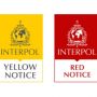 Polisi Ajukan Yellow Notice Buat Cari Dosen UII, Apa Bedanya dengan Red Notice?