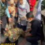 Enggak Cuma Sekali, Ini Sederet Momen Risma Sujud Berjilid-jilid Selain di Kaki Guru Disabilitas