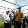 Tinjau Kompleks Rumah Menteri di IKN, Jokowi Harap Pembangunan Selesai Juni 2024