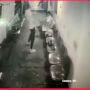 Suami Tega Buang Istri dari Kapal Laut, Netizen: Untung Aku Gemoy, Kamu Gak Kuat Angkat Aku