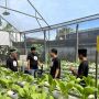 GMC Pasuruan Gelar Aksi Bersih Lingkungan dan Berbagi Sayur Hidroponik