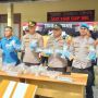 Polisi Gagalkan Penyelundupan Benih Lobster di Pesisir Barat, Potensi Kerugian Negara Miliaran Rupiah