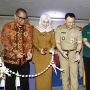 Jangan Dibuang, Minyak Jelantah Menghasilkan Cuan, Begini Caranya