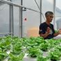 Petani Milenial Kembangkan Varietas Baru untuk Agro Wisata Di Buleleng dengan Smart Green House