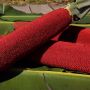 Dianggap sebagai Buah Sakral, Berikut 3 Fakta Unik Mengenai Buah Merah