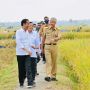 Jokowi 'Jalan Bareng' Prabowo dan Ganjar di Kebumen, PKB: Panen Padi Nggak Ada Hubungan dengan Pilpres