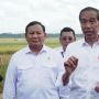 Tinjau Panen Raya di Kebumen, Jokowi Temukan Masih Rendahnya Harga Gabah Kering Panen