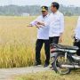 Usai Panen Bersama Presiden, Mentan SYL Canangkan Percepatan Tanam