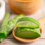Sering Jadi Andalan dalam Perawatan Kulit, Ini Manfaat Aloe Vera yang Perlu Diketahui